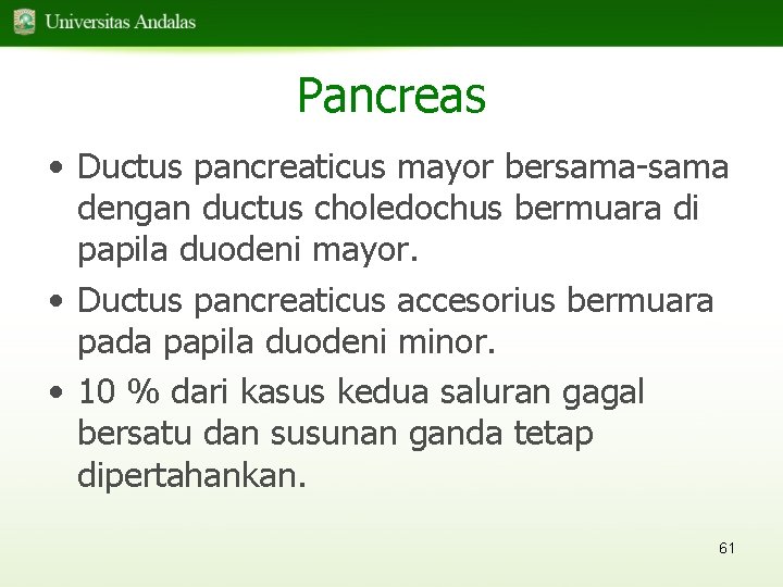 Pancreas • Ductus pancreaticus mayor bersama-sama dengan ductus choledochus bermuara di papila duodeni mayor.