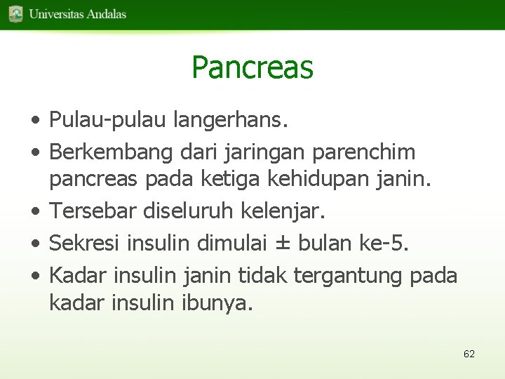 Pancreas • Pulau-pulau langerhans. • Berkembang dari jaringan parenchim pancreas pada ketiga kehidupan janin.