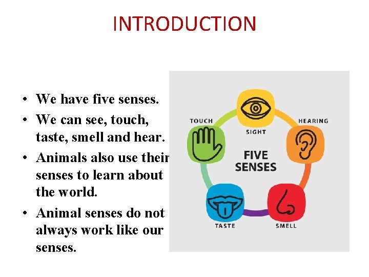 INTRODUCTION • We have five senses. • We can see, touch, taste, smell and