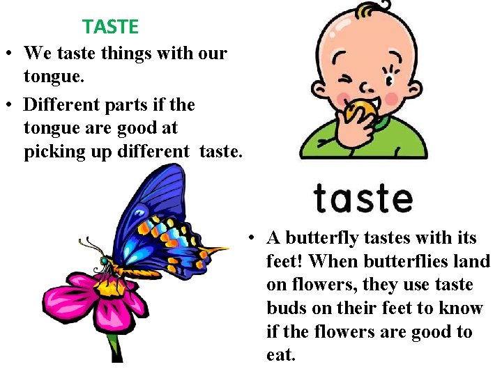 TASTE • We taste things with our tongue. • Different parts if the tongue