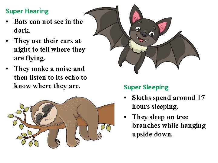 Super Hearing • Bats can not see in the dark. • They use their
