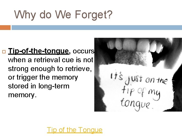Why do We Forget? Tip-of-the-tongue, occurs when a retrieval cue is not strong enough