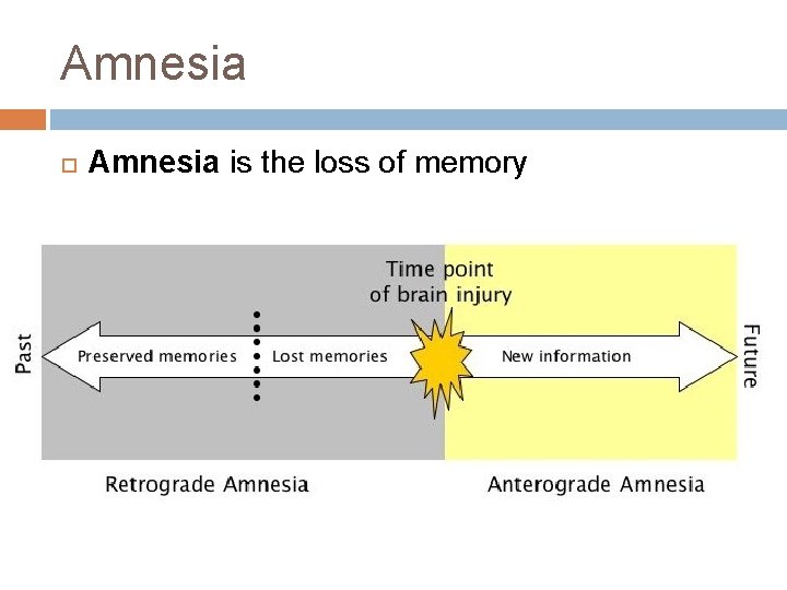 Amnesia is the loss of memory 