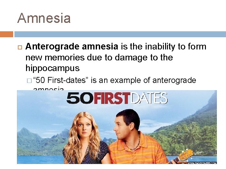 Amnesia Anterograde amnesia is the inability to form new memories due to damage to
