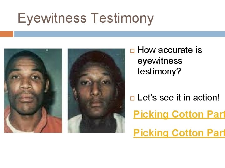 Eyewitness Testimony How accurate is eyewitness testimony? Let’s see it in action! Picking Cotton