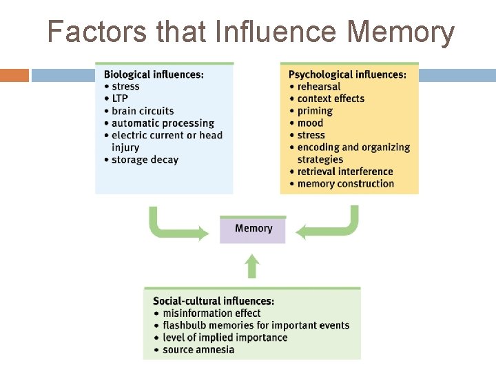 Factors that Influence Memory 