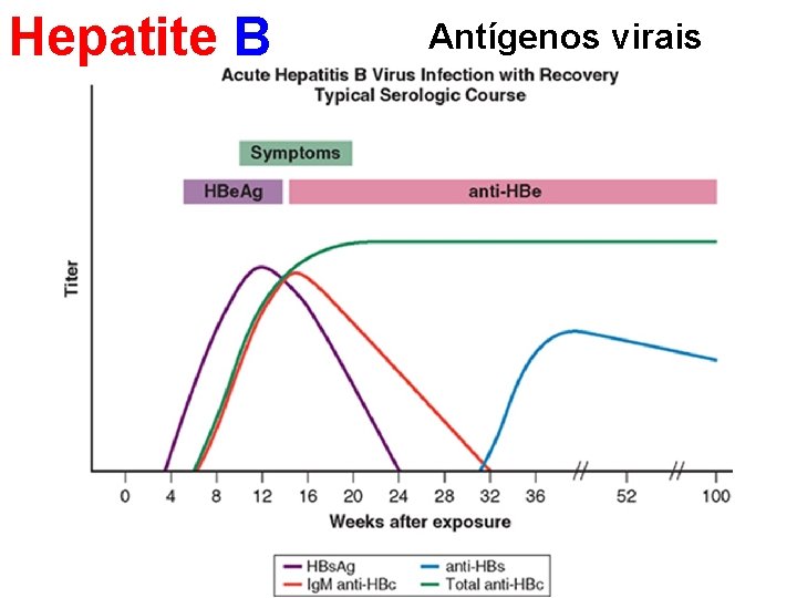Hepatite B Antígenos virais 