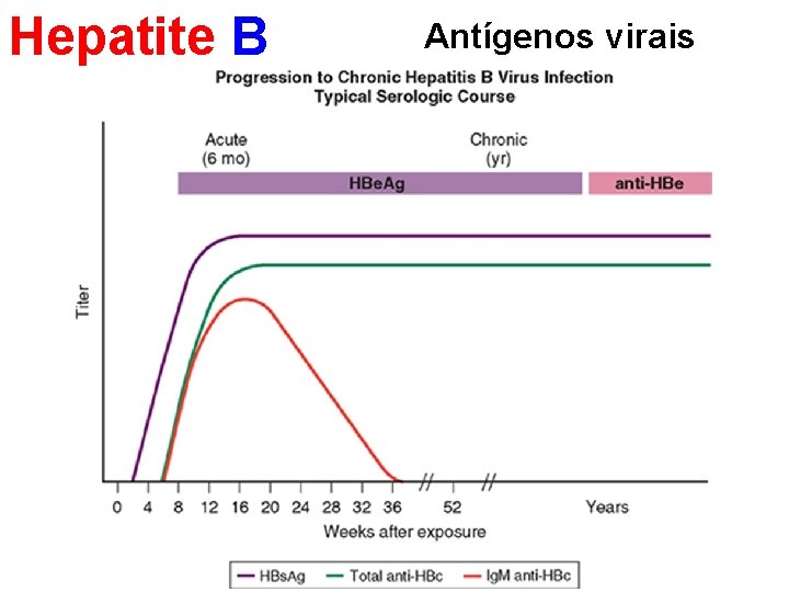 Hepatite B Antígenos virais 