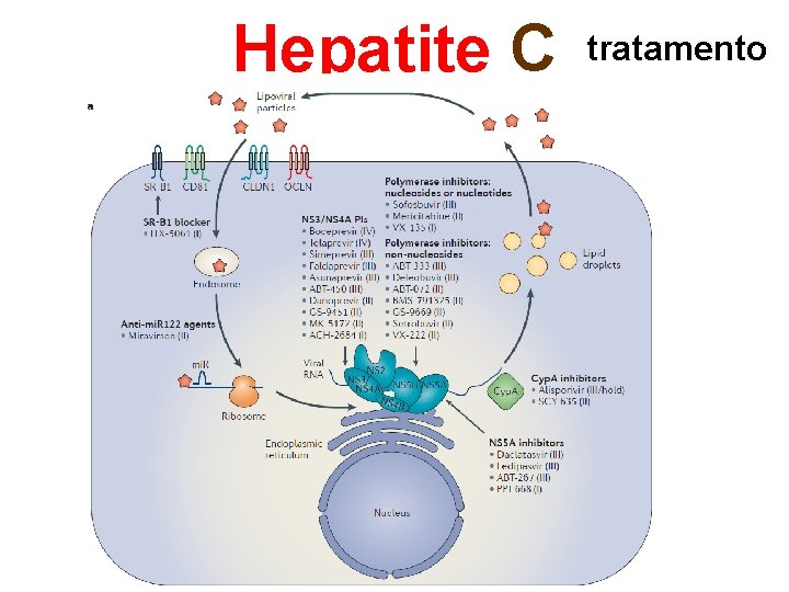 Hepatite C tratamento 