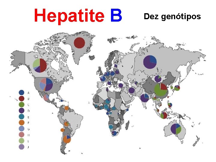 Hepatite B Dez genótipos 