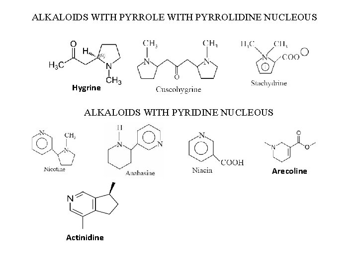 ALKALOIDS WITH PYRROLE WITH PYRROLIDINE NUCLEOUS Hygrine ALKALOIDS WITH PYRIDINE NUCLEOUS Arecoline Actinidine 