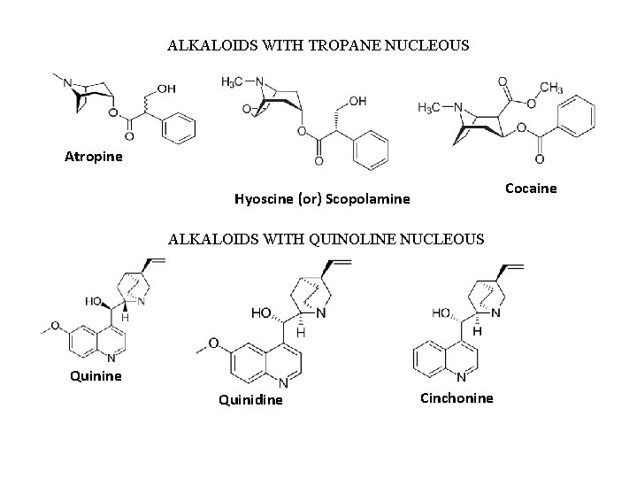 ALKALOIDS WITH TROPANE NUCLEOUS Atropine Cocaine Hyoscine (or) Scopolamine ALKALOIDS WITH QUINOLINE NUCLEOUS Quinine