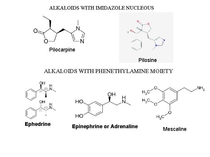 ALKALOIDS WITH IMIDAZOLE NUCLEOUS Pilocarpine Pilosine ALKALOIDS WITH PHENETHYLAMINE MOIETY Ephedrine Epinephrine or Adrenaline