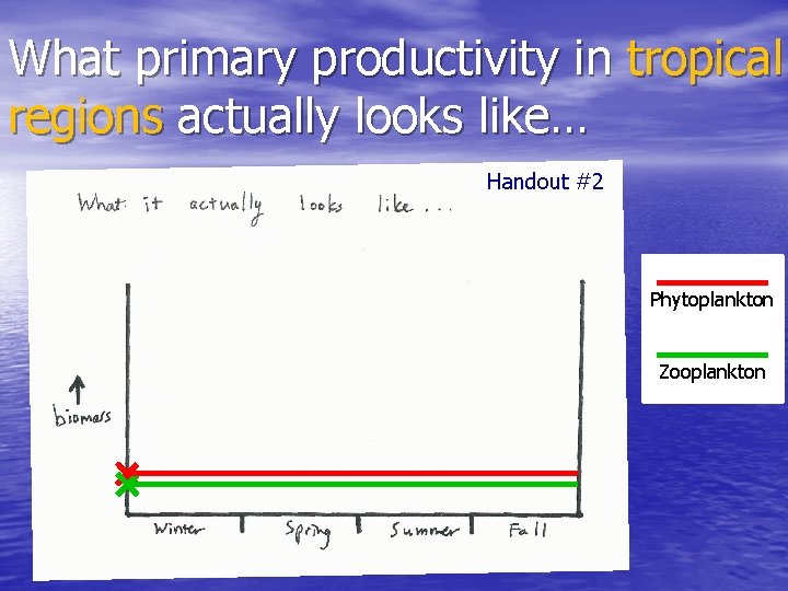 What primary productivity in tropical regions actually looks like… Handout #2 Phytoplankton Zooplankton 