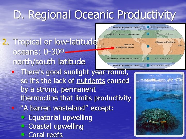 D. Regional Oceanic Productivity 2. Tropical or low-latitude oceans: 0 -30º north/south latitude §