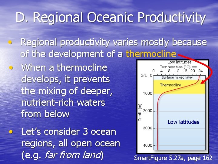 D. Regional Oceanic Productivity • Regional productivity varies mostly because of the development of