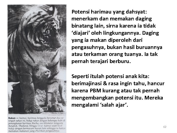 Potensi harimau yang dahsyat: menerkam dan memakan daging binatang lain, sirna karena ia tidak