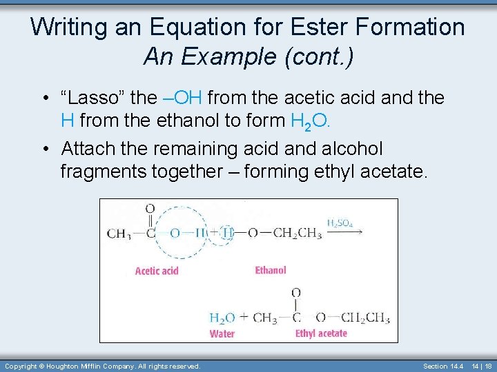Writing an Equation for Ester Formation An Example (cont. ) • “Lasso” the –OH