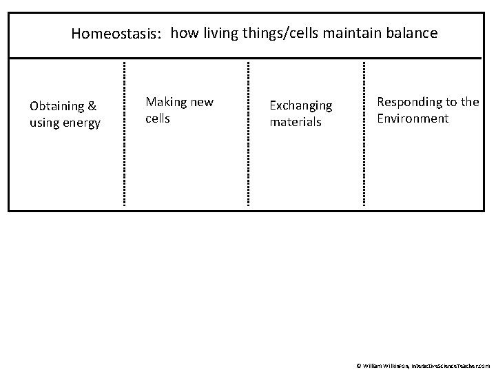 Homeostasis: how living things/cells maintain balance Obtaining & using energy Making new cells Exchanging
