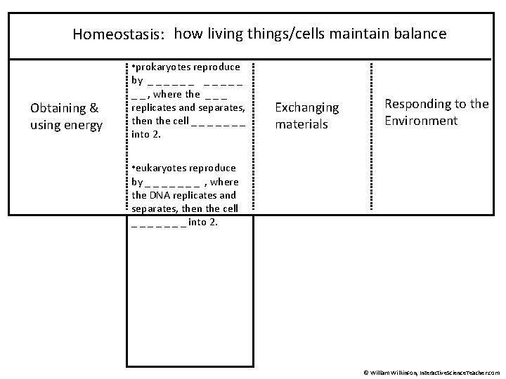 Homeostasis: how living things/cells maintain balance Obtaining & using energy • prokaryotes reproduce by