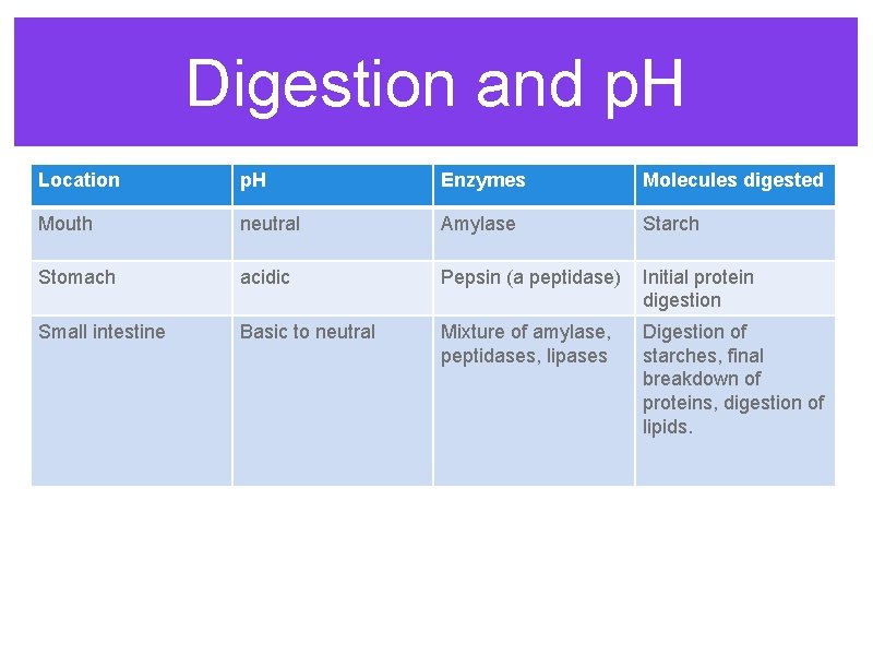 Digestion and p. H Location p. H Enzymes Molecules digested Mouth neutral Amylase Starch