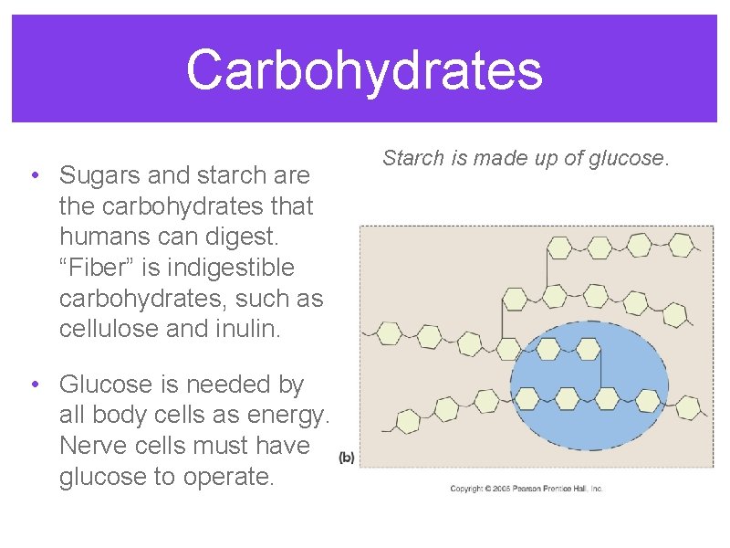 Carbohydrates • Sugars and starch are the carbohydrates that humans can digest. “Fiber” is