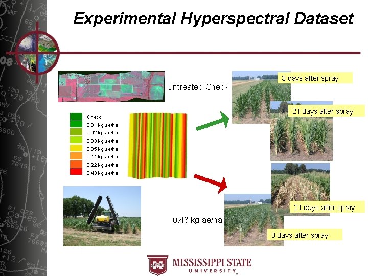Experimental Hyperspectral Dataset 3 days after spray Untreated Check 21 days after spray Check