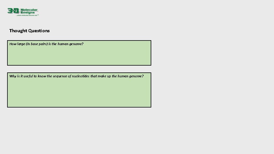 Thought Questions How large (in base pairs) is the human genome? Why is it