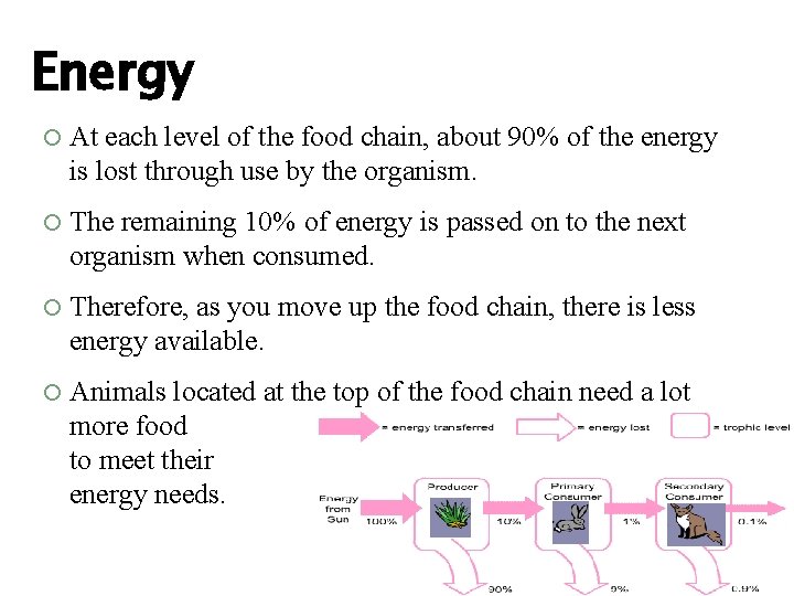 Energy At each level of the food chain, about 90% of the energy is