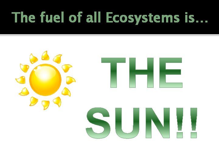 The fuel of all Ecosystems is… 