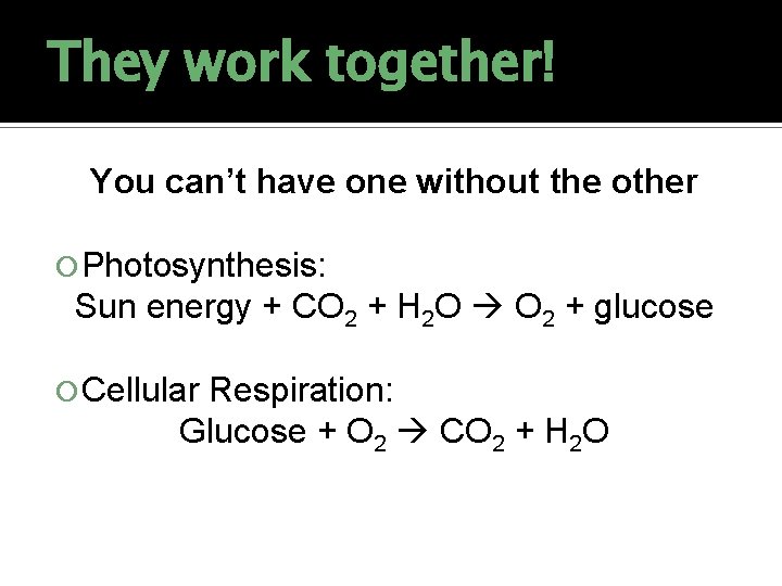 They work together! You can’t have one without the other Photosynthesis: Sun energy +