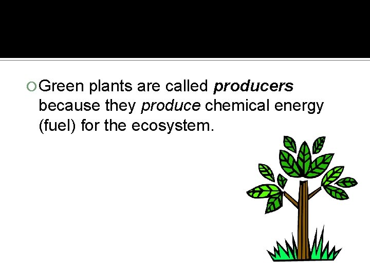  Green plants are called producers because they produce chemical energy (fuel) for the