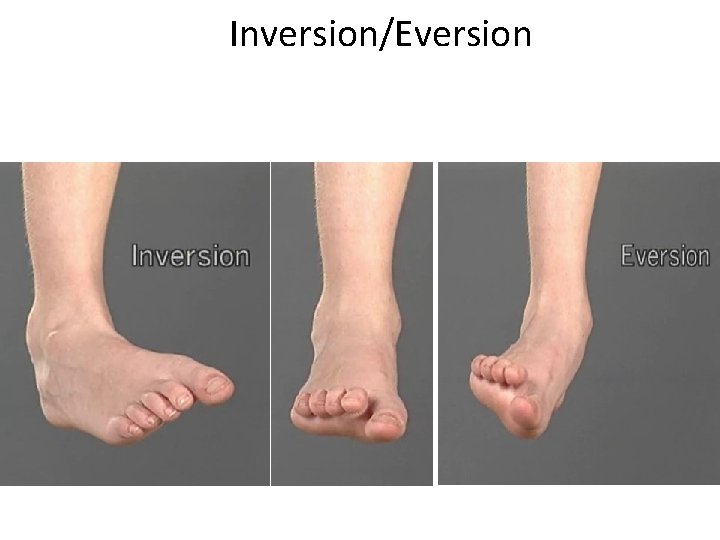 Inversion/Eversion 