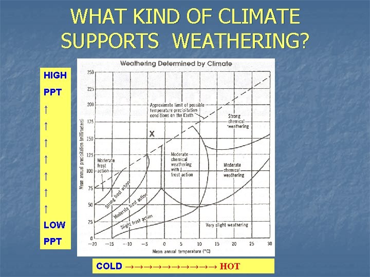 WHAT KIND OF CLIMATE SUPPORTS WEATHERING? HIGH PPT ↑ ↑ ↑ ↑ LOW PPT