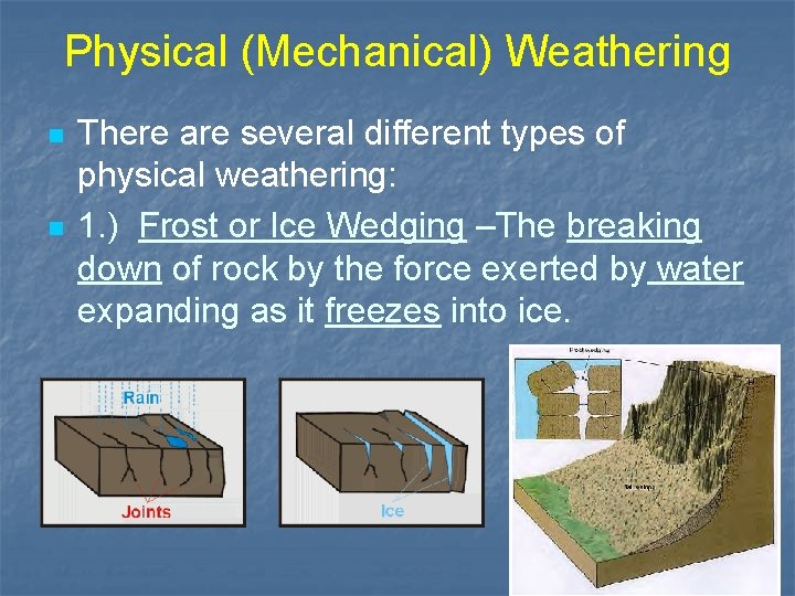 Physical (Mechanical) Weathering n n There are several different types of physical weathering: 1.