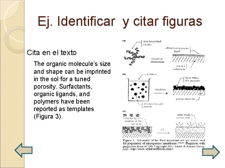 Ej. Identificar y citar figuras Cita en el texto The organic molecule’s size and