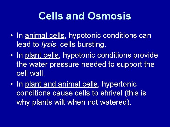 Cells and Osmosis • In animal cells, hypotonic conditions can lead to lysis, cells