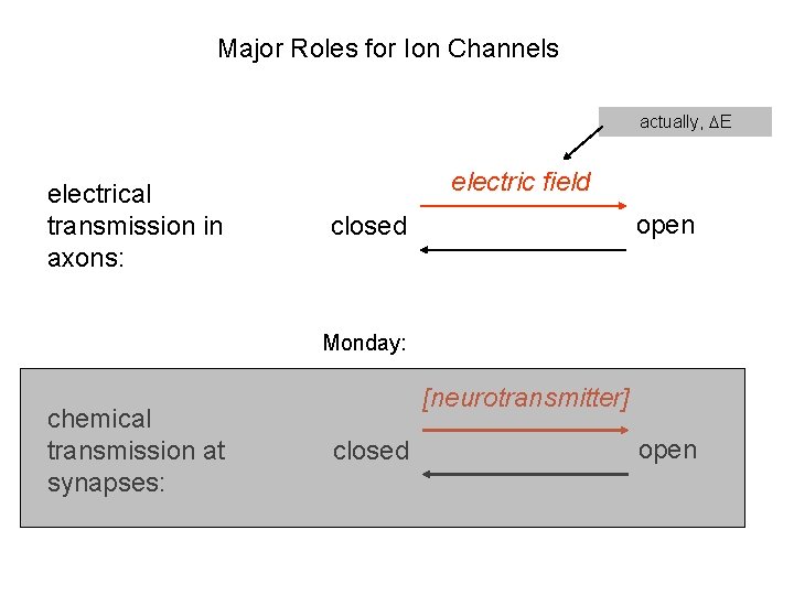 Major Roles for Ion Channels actually, DE electrical transmission in axons: electric field open Major Roles for Ion Channels actually, DE electrical transmission in axons: electric field open