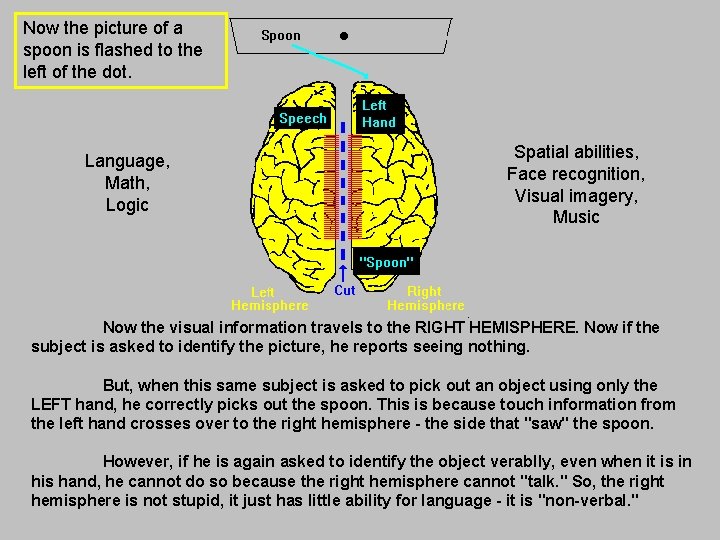 Now the picture of a spoon is flashed to the left of the dot. Now the picture of a spoon is flashed to the left of the dot.