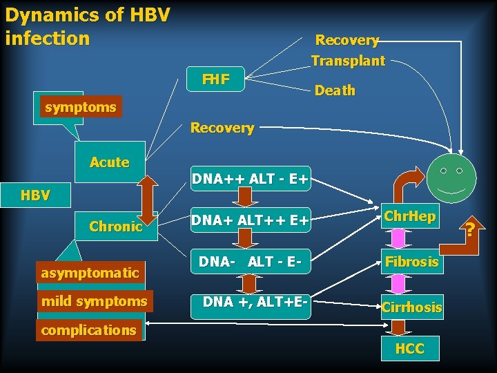 Dynamics of HBV infection Recovery Transplant FHF symptoms Death Recovery Acute HBV Chronic asymptomatic