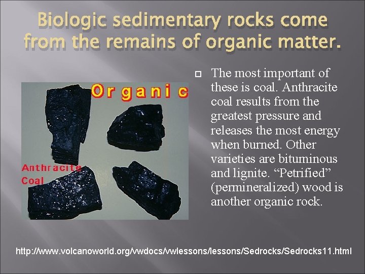 Biologic sedimentary rocks come from the remains of organic matter. The most important of