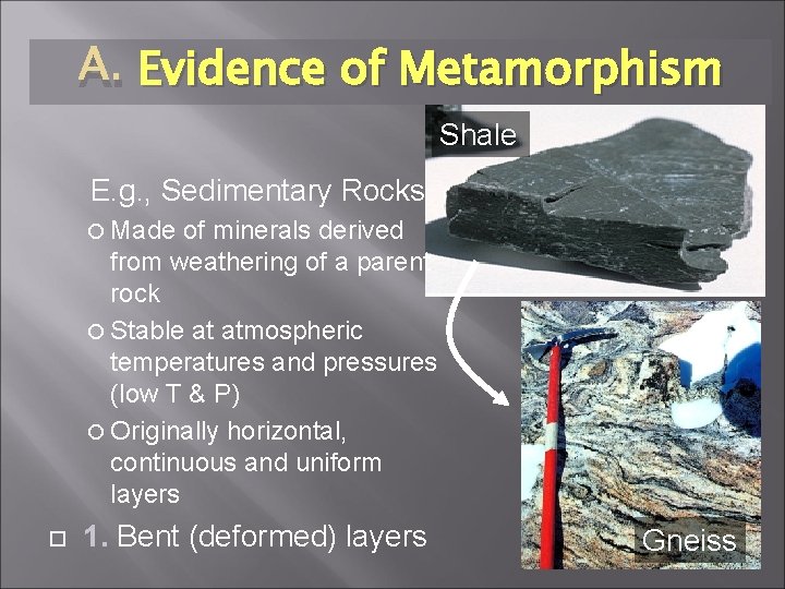 A. Evidence of Metamorphism Shale E. g. , Sedimentary Rocks Made of minerals derived