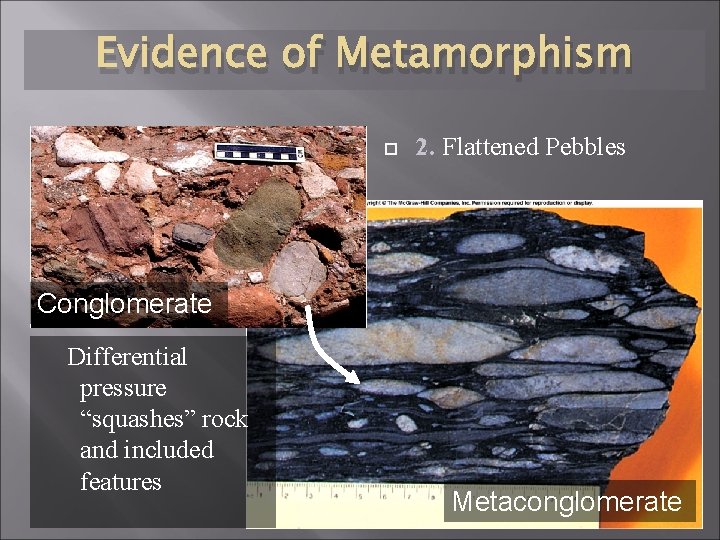 Evidence of Metamorphism 2. Flattened Pebbles Conglomerate Differential pressure “squashes” rock and included features