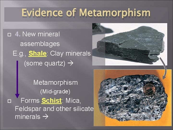 Evidence of Metamorphism 4. New mineral assemblages E. g. , Shale: Clay minerals (some