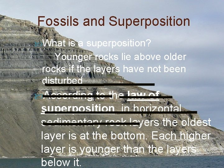 Fossils and The Law of Superposition Mr Blacks