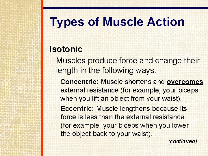 Types of Muscle Action Isotonic Muscles produce force and change their length in the