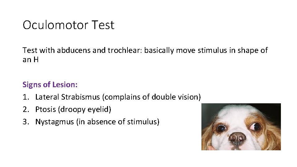 Oculomotor Test with abducens and trochlear: basically move stimulus in shape of an H