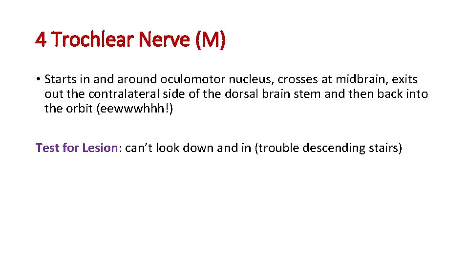 4 Trochlear Nerve (M) • Starts in and around oculomotor nucleus, crosses at midbrain,