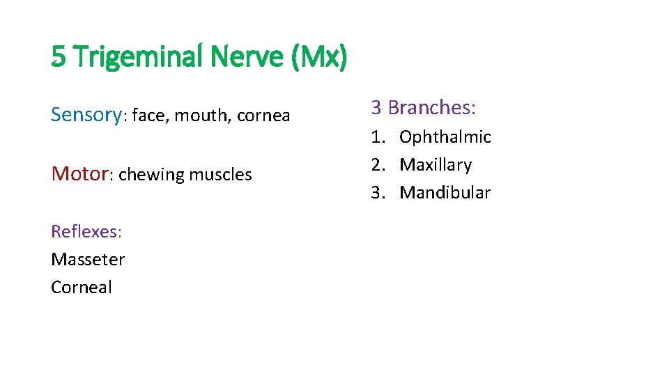 5 Trigeminal Nerve (Mx) Sensory: face, mouth, cornea Motor: chewing muscles Reflexes: Masseter Corneal