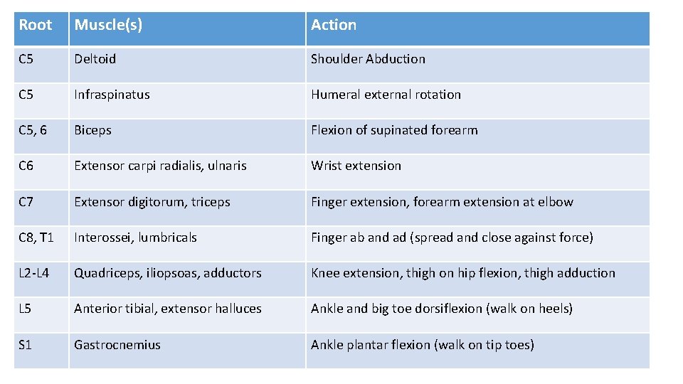 Root Muscle(s) Action C 5 Deltoid Shoulder Abduction C 5 Infraspinatus Humeral external rotation